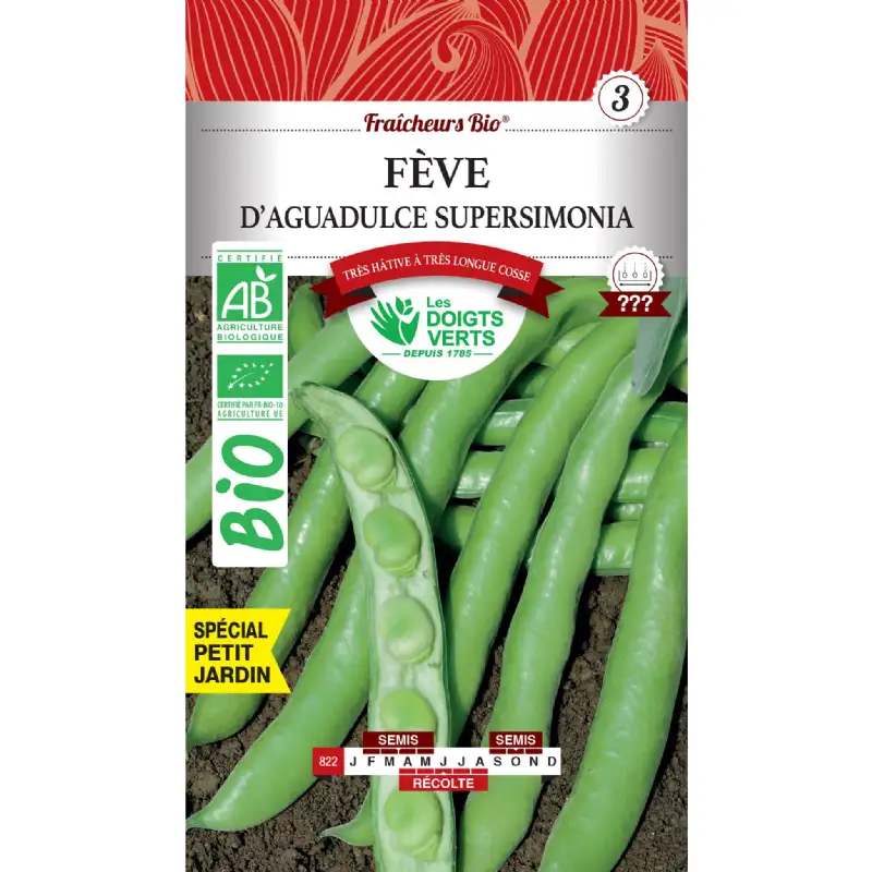 Graines fèves d'Aguadulce Supersimonia BIO Les Doigts Verts