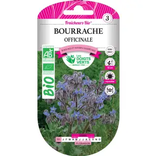 Graines bourrache officinale BIO Les Doigts Verts