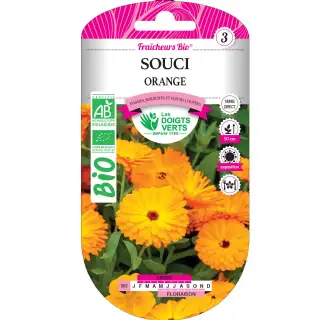 Graines souci orange BIO Les Doigts Verts