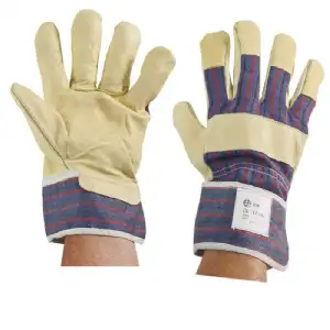 Gants tous travaux  fleur de porc/toile bayadère T10