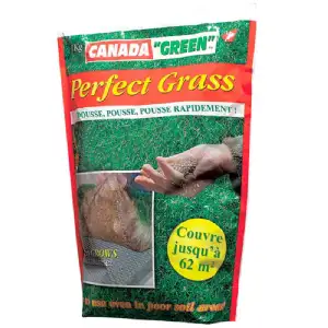 Gazon canada green perfect grass 1kg