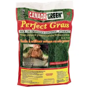 Gazon canada Green 1,5 kg