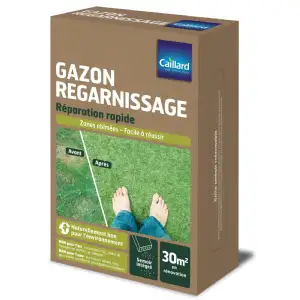 Gazon regarnissage 1kg caillard