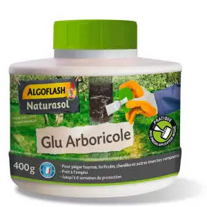 Glu anti-insecte avec pinceau pour arbre