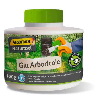 Glu anti-insecte avec pinceau pour arbre