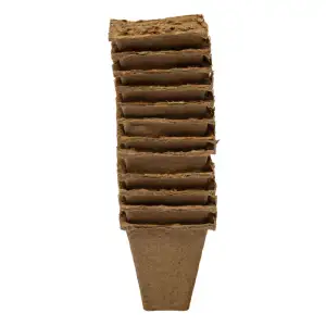 Godet de cultures carré 6 x 12 x 6 cm (24 pcs)