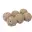 Boules de graisse pour oiseaux 90gr (6 pcs) Zolux