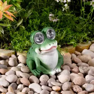 Grenouille solaire 2 leds 13x9cm