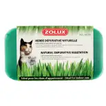 Herbe dépurative naturelle pour chats - ZOLUX