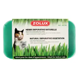 Herbe dépurative naturelle pour chats - ZOLUX