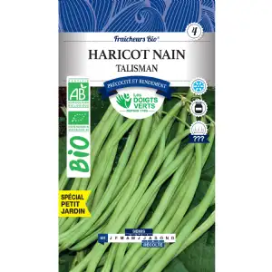 Graines haricot nain talisman BIO Les Doigts Verts