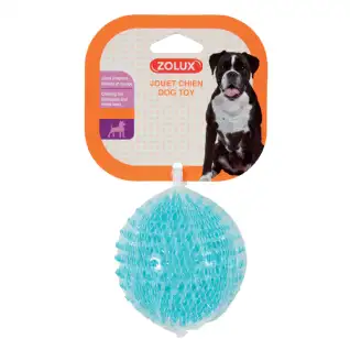 Jouet Chien Balle Turquoise - ZOLUX