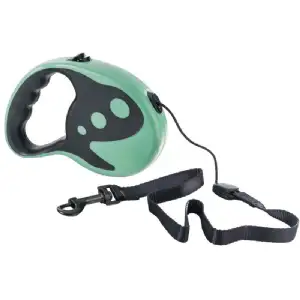 Laisse de chien vert automatique 5m