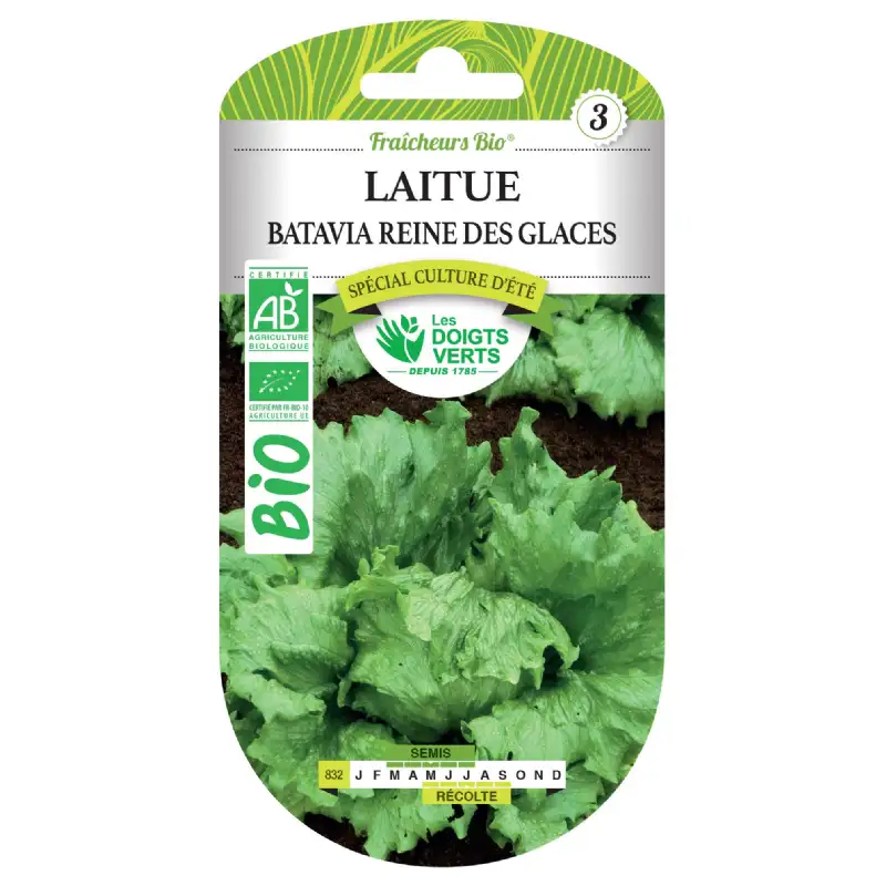 Graines laitue batavia reine des glaces BIO Les Doigts Verts