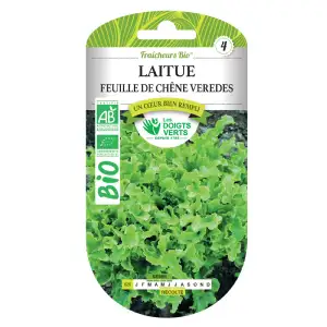 Graines laitue feuille de chêne veredes BIO Les Doigts Verts