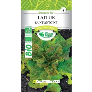 Graines laitue Saint Antoine BIO Les Doigts Verts