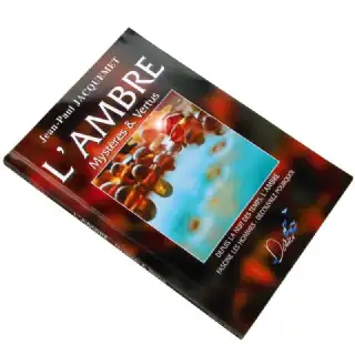 Livre sur l'ambre