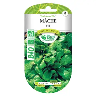 Graines de mâche vit BIO Les Doigts Verts