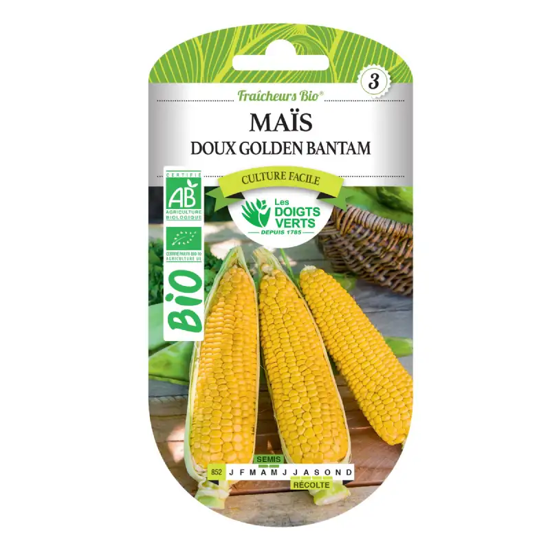 Graines maïs doux Golden Bantam BIO Les Doigts Verts