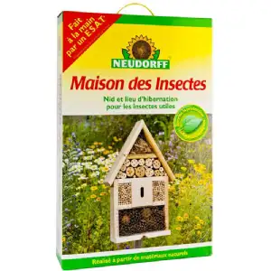 Maison des insectes