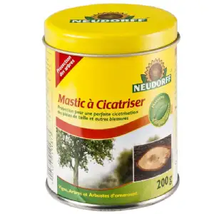 Mastic à cicatriser 200g