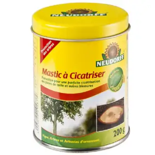 Mastic à cicatriser 200g