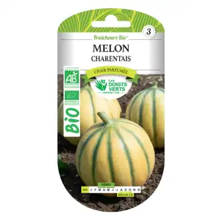 Graines melon charentais BIO Les Doigts Verts