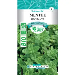 Graines menthe odorante BIO Les Doigts Verts