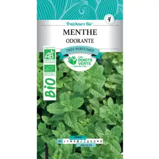 Graines menthe odorante BIO Les Doigts Verts