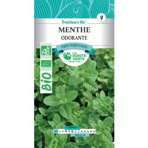 Graines menthe odorante BIO Les Doigts Verts