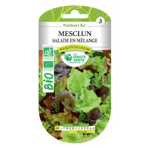 Graines mesclun salade en mélange BIO Les Doigts Verts