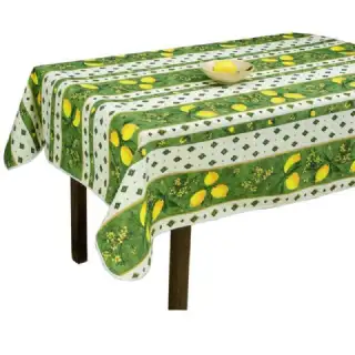 Nappe anti tâche rectangulaire verte