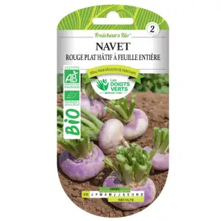 Graines navet rouge plat hâtif BIO Les Doigts Verts