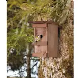 Nichoir à oiseaux en bois massif verni