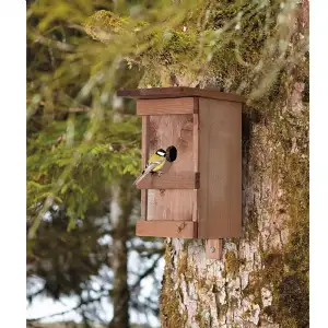 Nichoir à oiseaux en bois massif verni