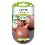 Graines oignon doré de Parme BIO Les Doigts Verts