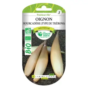 Graines oignon Hourcadère (type de Trébons) BIO Les Doigts Verts