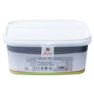 Peinture mur et plafond acrylique mat gris acier (2,5L) Jafep