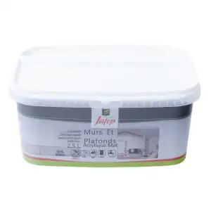 Peinture mur et plafond acrylique mat gris béton (2,5L) Jafep