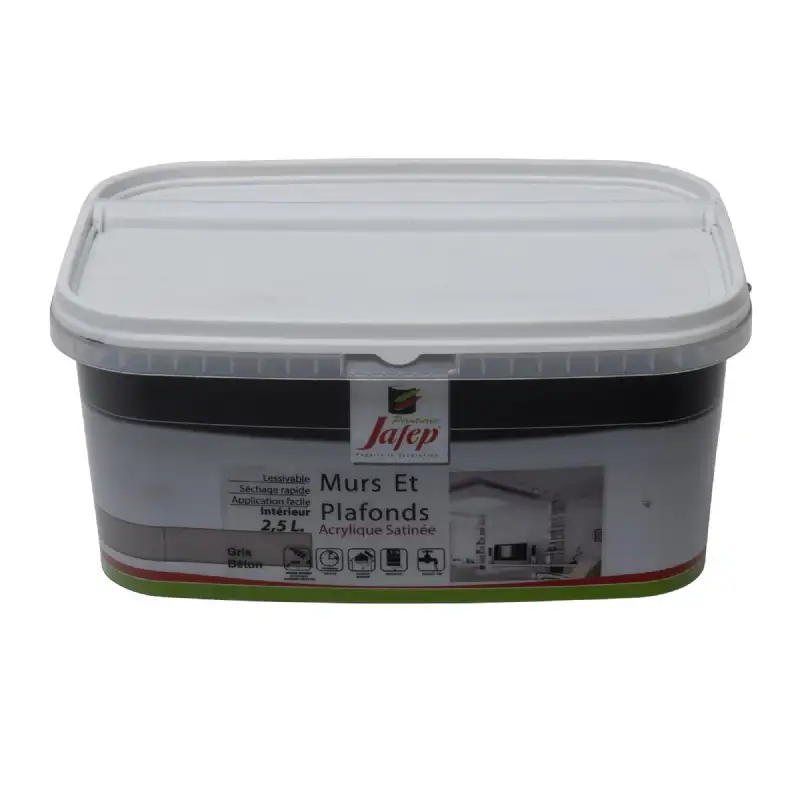 Peinture mur et plafond satinée gris béton (2,5L) Jafep