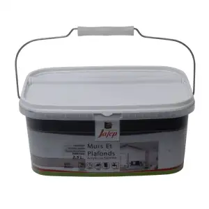 Peinture mur et plafond satinée gris béton (2,5L) Jafep