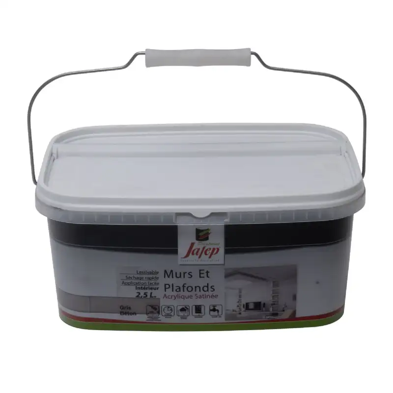 Peinture mur et plafond satinée gris béton (2,5L) Jafep