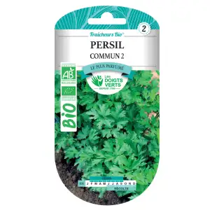 Graines de persil commun 2 BIO Les Doigts Verts