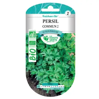 Graines de persil commun 2 BIO Les Doigts Verts