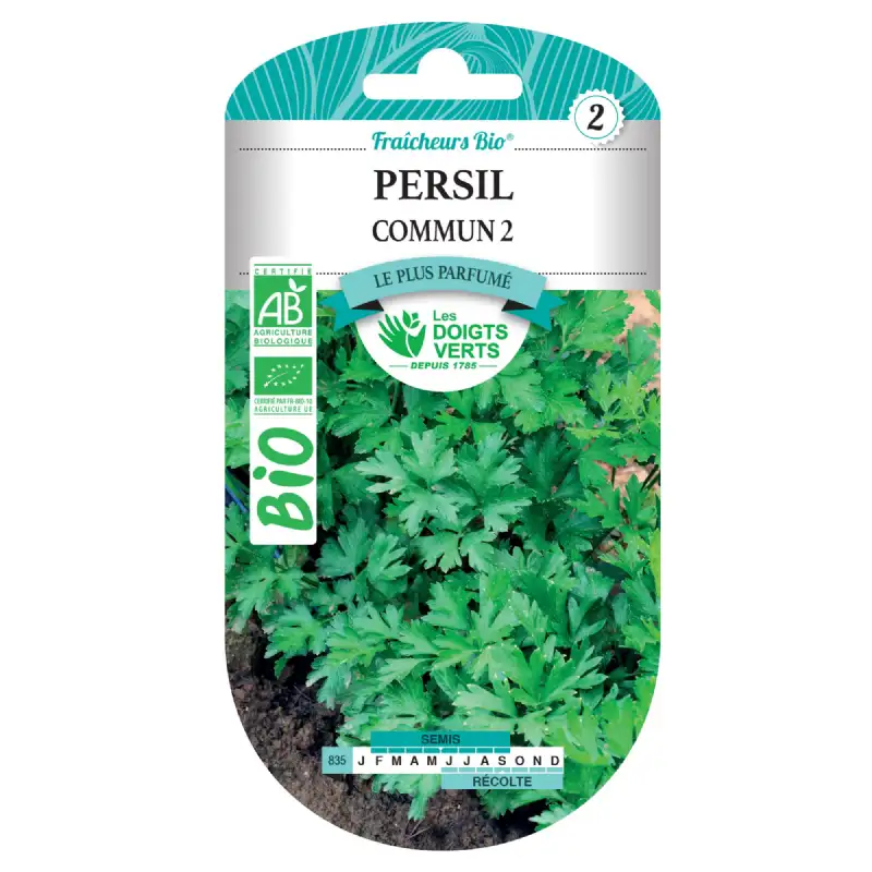 Graines de persil commun 2 BIO Les Doigts Verts