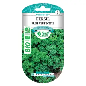 Graines de persil frisé vert foncé BIO Les Doigts Verts