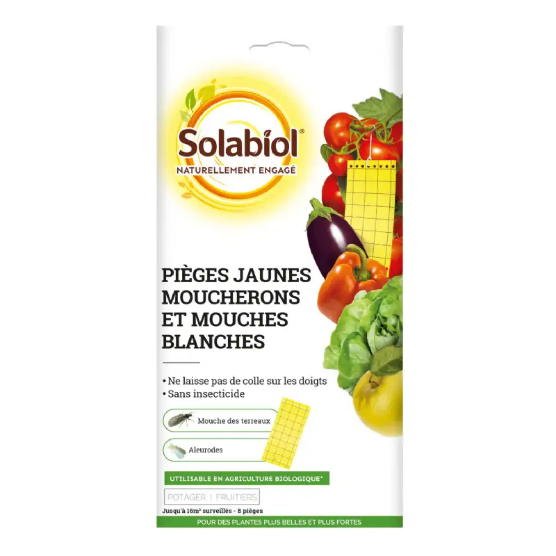 Piège jaune moucheron et mouche blanche