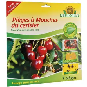 Piège à mouches du cerisier 7 pcs