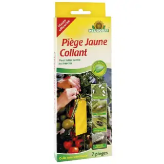 Piège à colle contre insecte 7 pieces