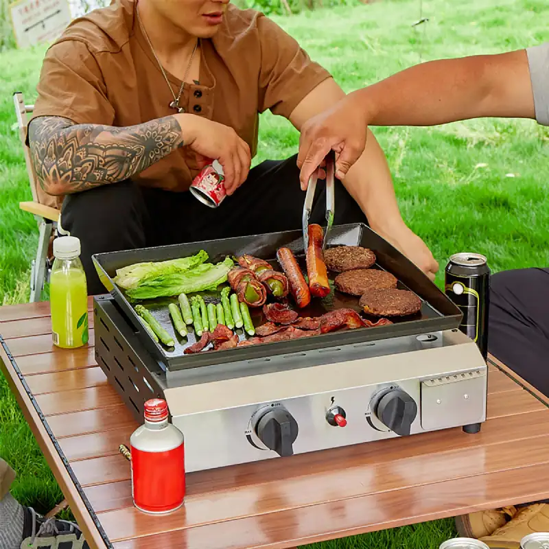 Plancha à gaz 2 brûleurs WERKA PRO